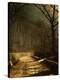 Stretched Canvas Print
