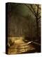Stretched Canvas Print
