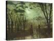 Stretched Canvas Print