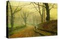Stretched Canvas Print