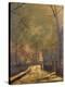 Stretched Canvas Print