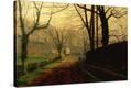 Stretched Canvas Print