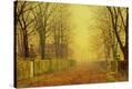 Stretched Canvas Print