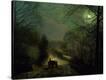 Stretched Canvas Print