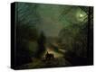 Stretched Canvas Print