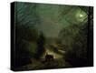 Stretched Canvas Print