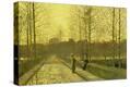 Stretched Canvas Print
