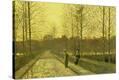 Stretched Canvas Print
