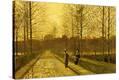 Stretched Canvas Print