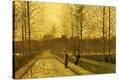 Stretched Canvas Print