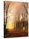 Stretched Canvas Print