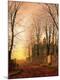 Premium Giclee Print