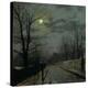 Stretched Canvas Print