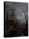 Stretched Canvas Print