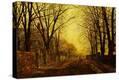 Stretched Canvas Print