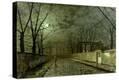 Stretched Canvas Print