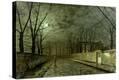 Stretched Canvas Print