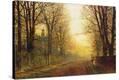 Stretched Canvas Print