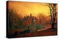 Stretched Canvas Print