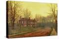 Stretched Canvas Print