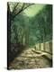 Stretched Canvas Print