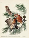 Pl 321 Roseate Spoonbill-John Audubon-Art Print