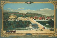 A View of Schuylkill County Almshouse, Circa 1880-John Bachman-Giclee Print