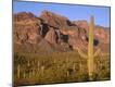 Photographic Print