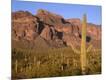 Photographic Print