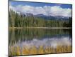 Photographic Print