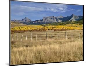 Meadows Specialty Art Prints Paintings Posters Framed Wall Artwork For Sale Art Com