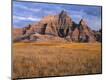 Photographic Print
