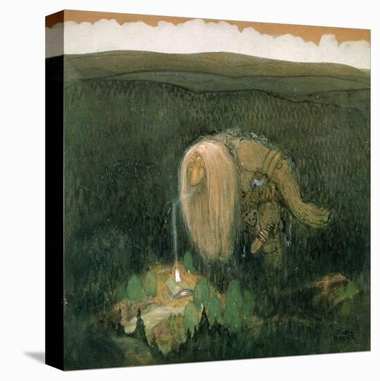 Stretched Canvas Print, , large
