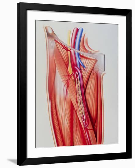 Photographic Print, , large