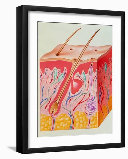 Photographic Print, , large