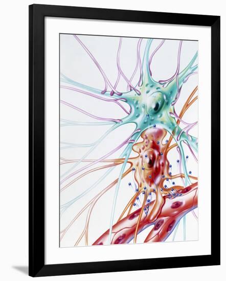 Photographic Print, , large