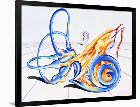 Photographic Print, , large