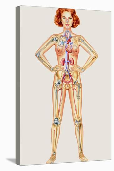 Stretched Canvas Print, , large