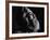 John Berryman-Terence Spencer-Framed Premium Photographic Print