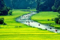 Rice Field and River, Ninhbinh, Vietnam Landscapes-John Bill-Framed Photographic Print