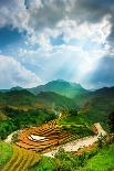 Rice Field and River, Ninhbinh, Vietnam Landscapes-John Bill-Framed Photographic Print