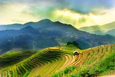 Rice Field and River, Ninhbinh, Vietnam Landscapes-John Bill-Framed Photographic Print