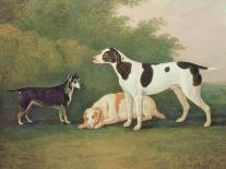 'A Flea-Bitten Grey and a Spotted Terrier', 1803-John Boultbee-Giclee Print