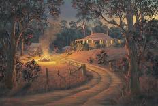 Bush Bonfire-John Bradley-Giclee Print