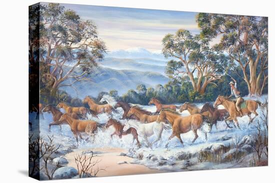 Stretched Canvas Print, , large
