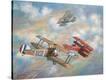 Stretched Canvas Print