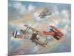 Giclee Print