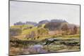 Giclee Print