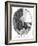 John Brown, Scottish Physician, 1791-John Kay-Framed Giclee Print