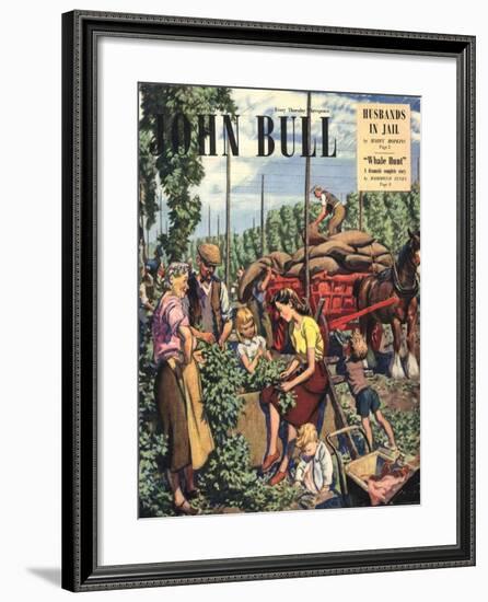 John Bull, Farming Hops Magazine, UK, 1948-null-Framed Giclee Print